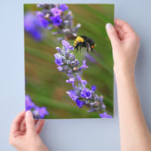 Biene in Lavender Flyer (Hand)