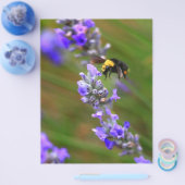 Biene in Lavender Flyer (Einzeln)