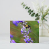 Biene in Lavender Postkarte (Stehend Vorderseite)