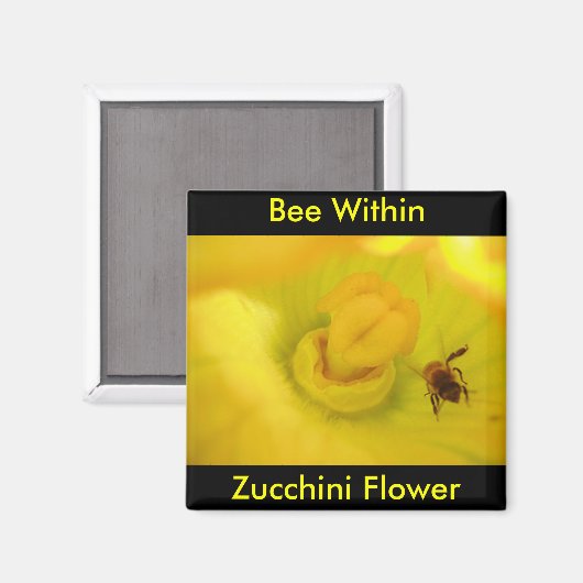 Biene innerhalb der Zucchini-Blume Magnet (Vorderseite/Rückseite)
