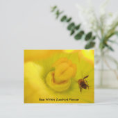 Biene innerhalb der Zucchini-Blume Postkarte (Stehend Vorderseite)