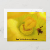 Biene innerhalb der Zucchini-Blume Postkarte (Vorne/Hinten)