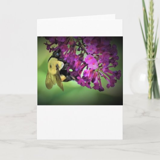 Biene, Karte (Vorderseite)