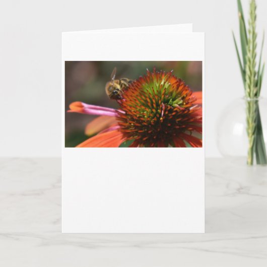 Biene, Karte (Vorderseite)