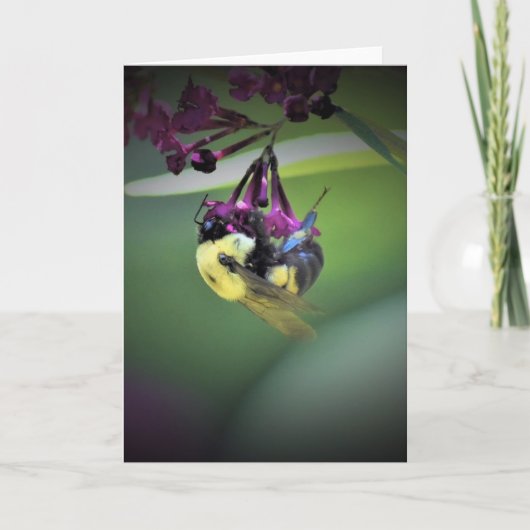 Biene, Karte (Vorderseite)