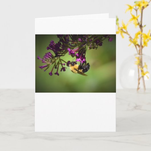 Biene, Karte (Gelbe Blume)