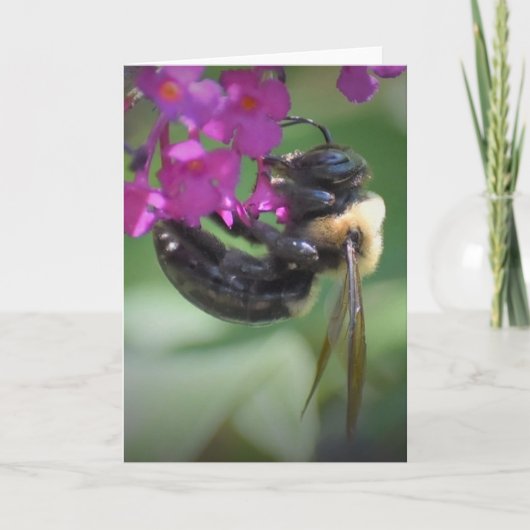 Biene, Karte (Vorderseite)