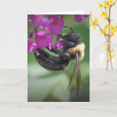 Biene, Karte (Gelbe Blume)