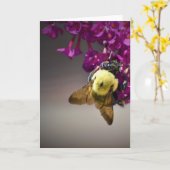 Biene, Karte (Gelbe Blume)
