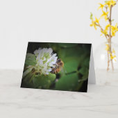 Biene, Karte (Gelbe Blume)