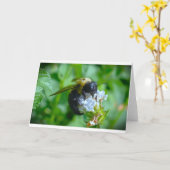 Biene, Karte (Gelbe Blume)