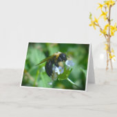 Biene, Karte (Gelbe Blume)