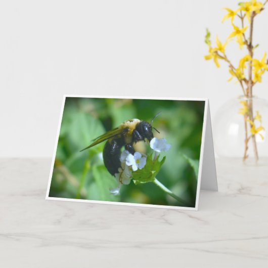 Biene, Karte (Gelbe Blume)