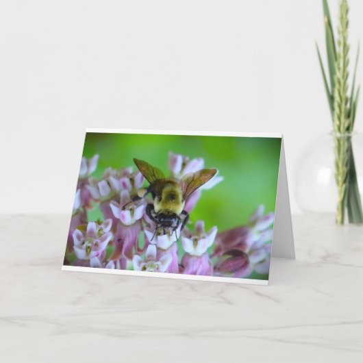 Biene, Karte (Vorderseite)