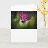 Biene, Karte (Gelbe Blume)