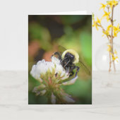 Biene, Karte (Gelbe Blume)