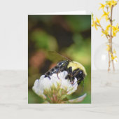Biene, Karte (Gelbe Blume)