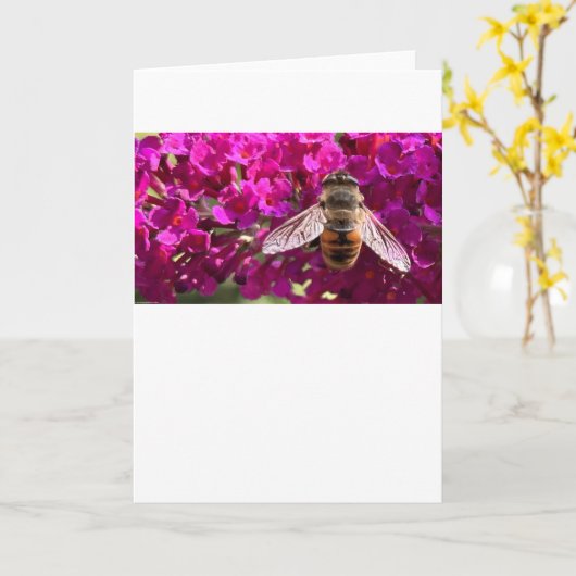 Biene, Karte (Gelbe Blume)