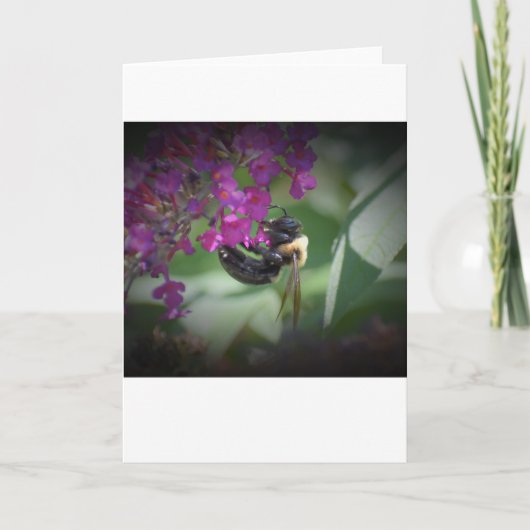 Biene, Karte (Vorderseite)