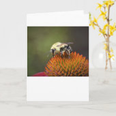 Biene, Karte (Gelbe Blume)