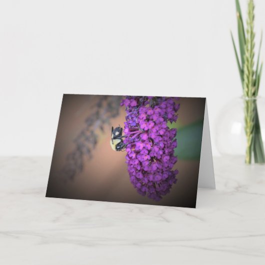 Biene, Karte (Vorderseite)