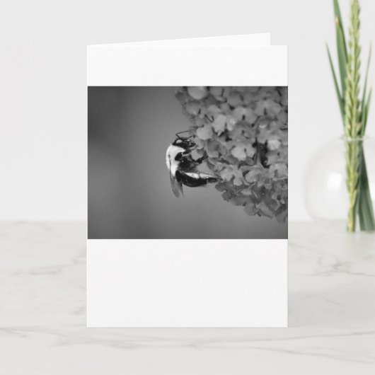 Biene, Karte (Vorderseite)