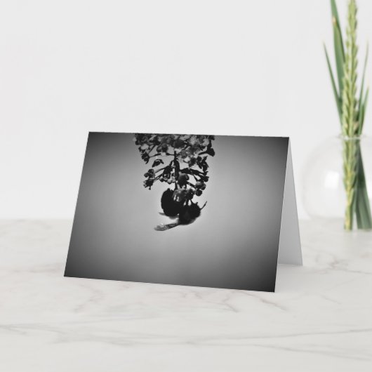 Biene, Karte (Vorderseite)