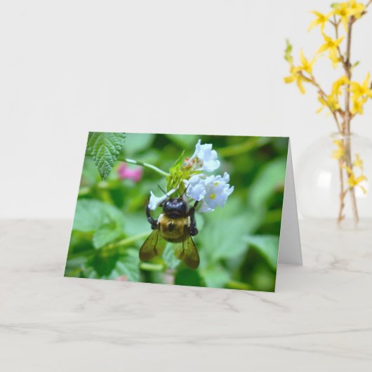 Biene, Karte (Gelbe Blume)