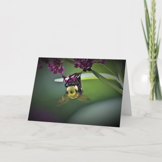 Biene, Karte (Vorderseite)