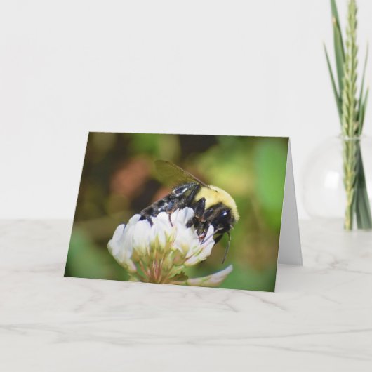 Biene, Karte (Vorderseite)