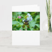 Biene, Karte (Vorderseite)