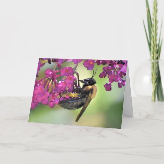 Biene, Karte (Vorderseite)