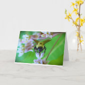 Biene, Karte (Gelbe Blume)