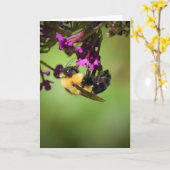 Biene, Karte (Gelbe Blume)