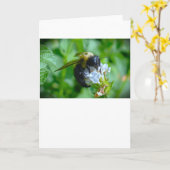 Biene, Karte (Gelbe Blume)