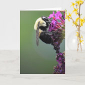 Biene, Karte (Gelbe Blume)