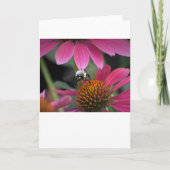 Biene, Karte (Vorderseite)