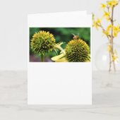 Biene, Karte (Gelbe Blume)