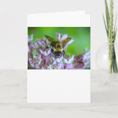 Biene, Karte (Vorderseite)