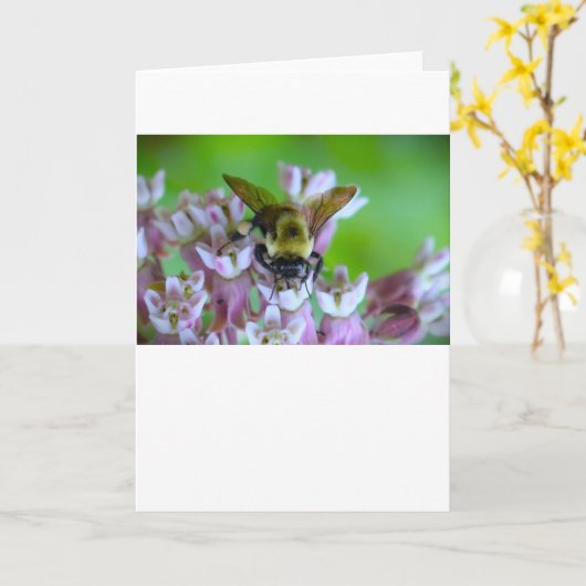 Biene, Karte (Gelbe Blume)