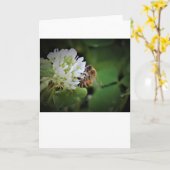 Biene, Karte (Gelbe Blume)