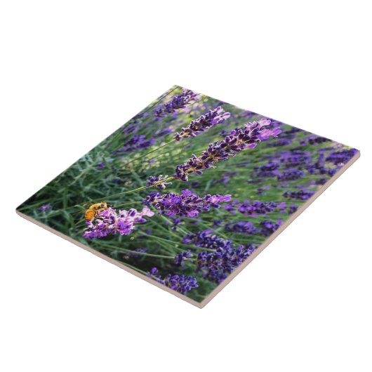 Biene & Lavender Fliese (Seite)