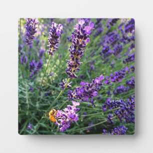 Biene & Lavender Fotoplatte
