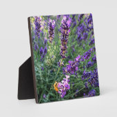 Biene & Lavender Fotoplatte (Vorderseite)