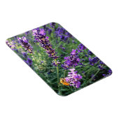 Biene & Lavender Magnet (Rechte Seite)