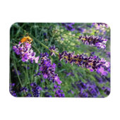 Biene & Lavender Magnet (Horizontal)