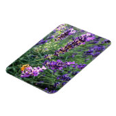 Biene & Lavender Magnet (Linke Seite)