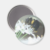 Biene Magnet (Vorderseite/Rückseite)