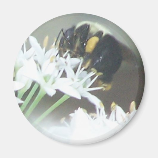 Biene Magnet (Vorne)