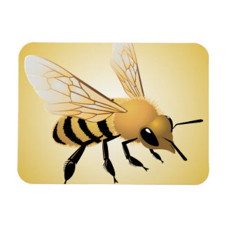 Biene Magnet